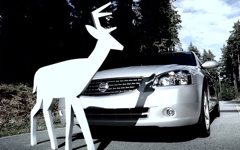 A white deer standing next to a silver car.